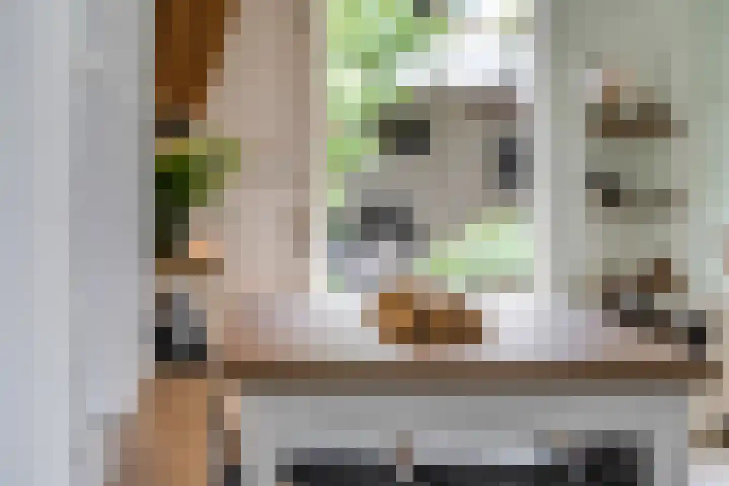 Constantijnstraat 2 Andelst thumbnail 9