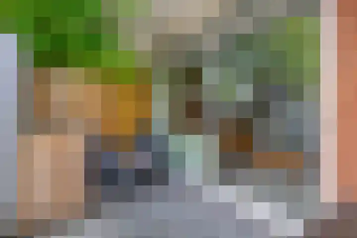 Constantijnstraat 2 Lisse thumbnail 11