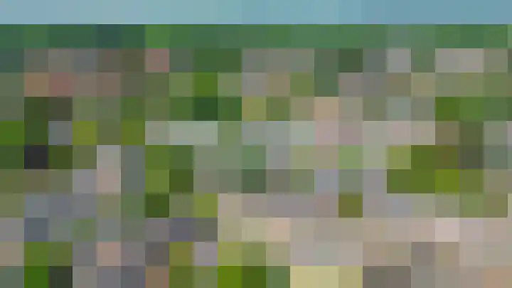 Constantijnstraat 2 Lisse thumbnail 30