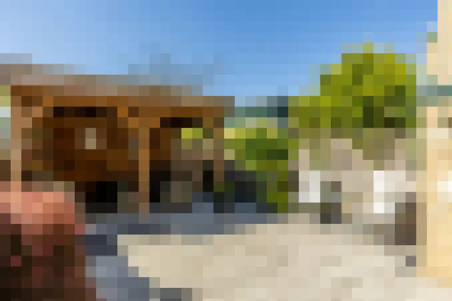 Constantijnstraat 26 's-Gravendeel thumbnail 10