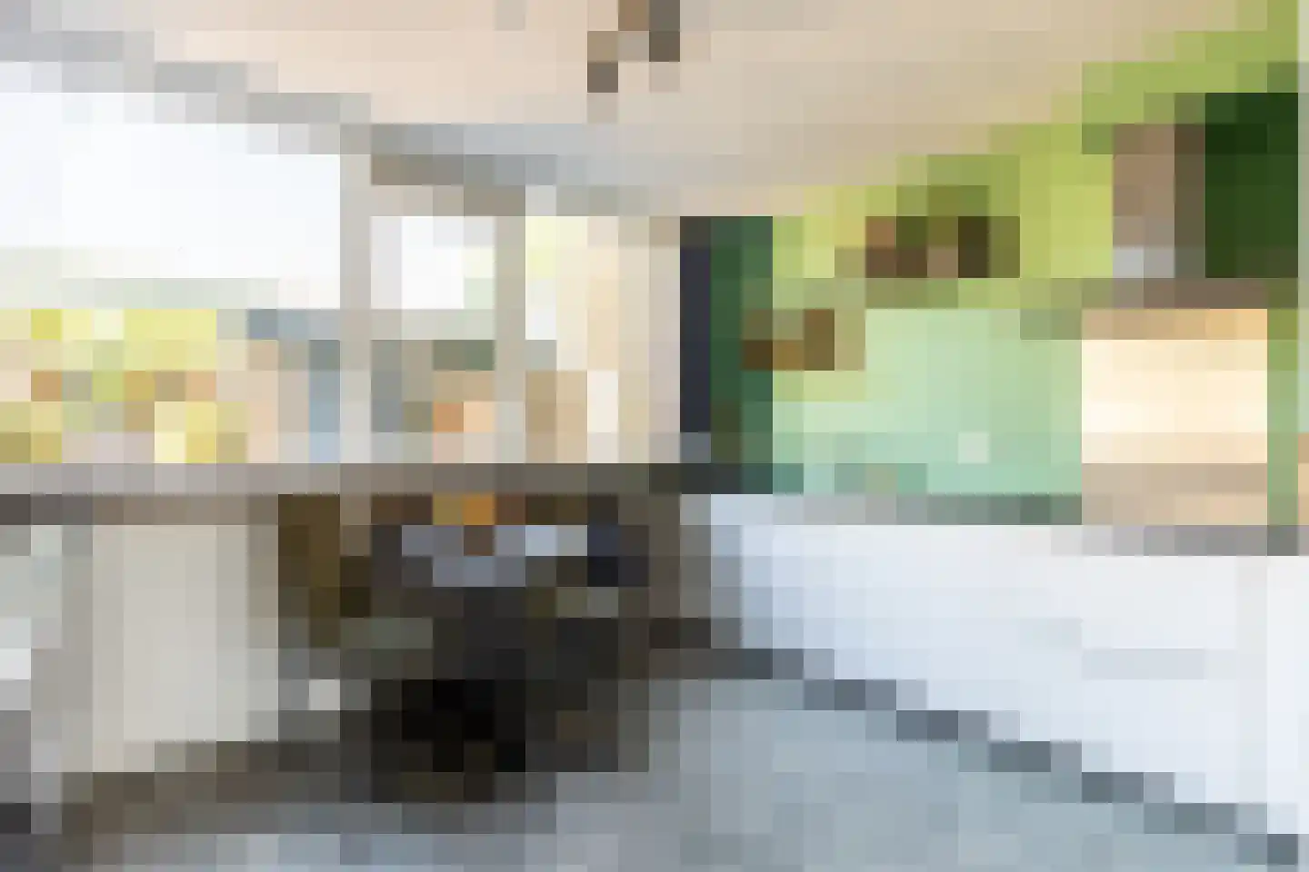 Constantijnstraat 26 's-Gravendeel thumbnail 18