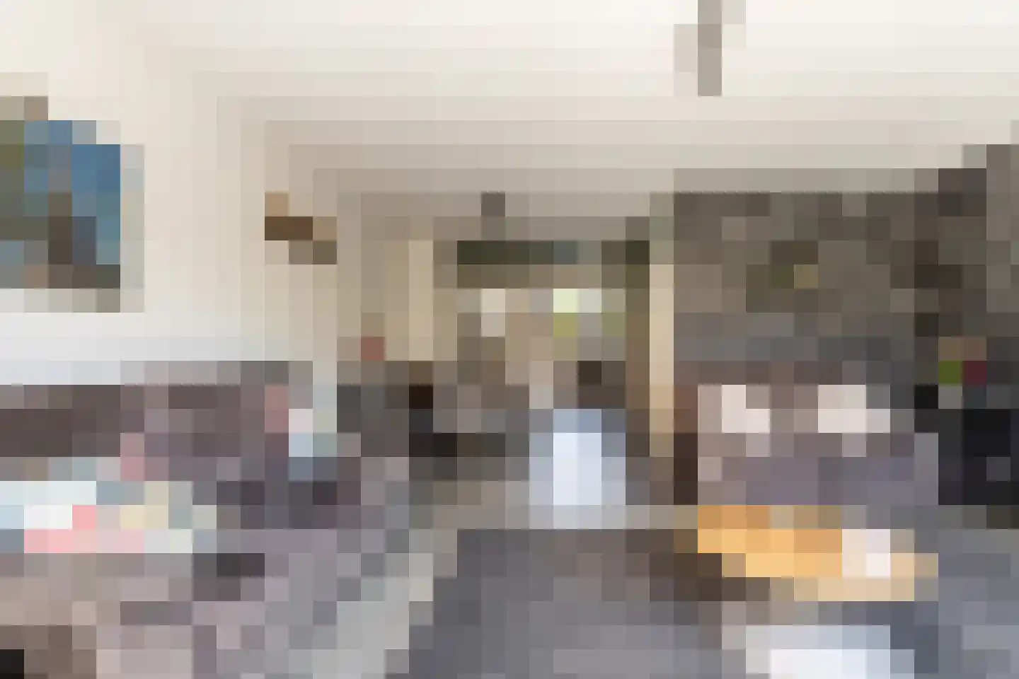 Constantijnstraat 26 's-Gravendeel thumbnail 27