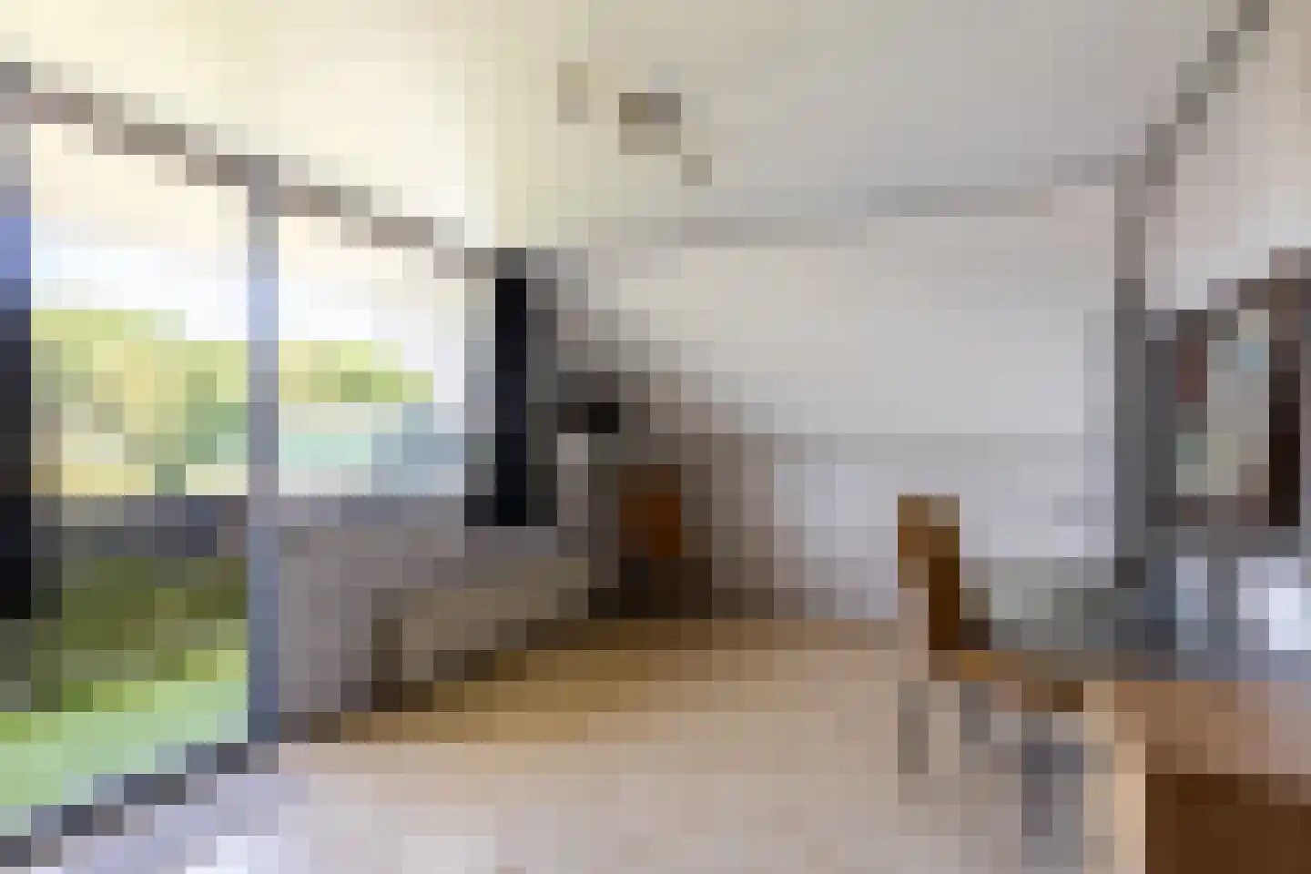 Constantijnstraat 26 's-Gravendeel thumbnail 39