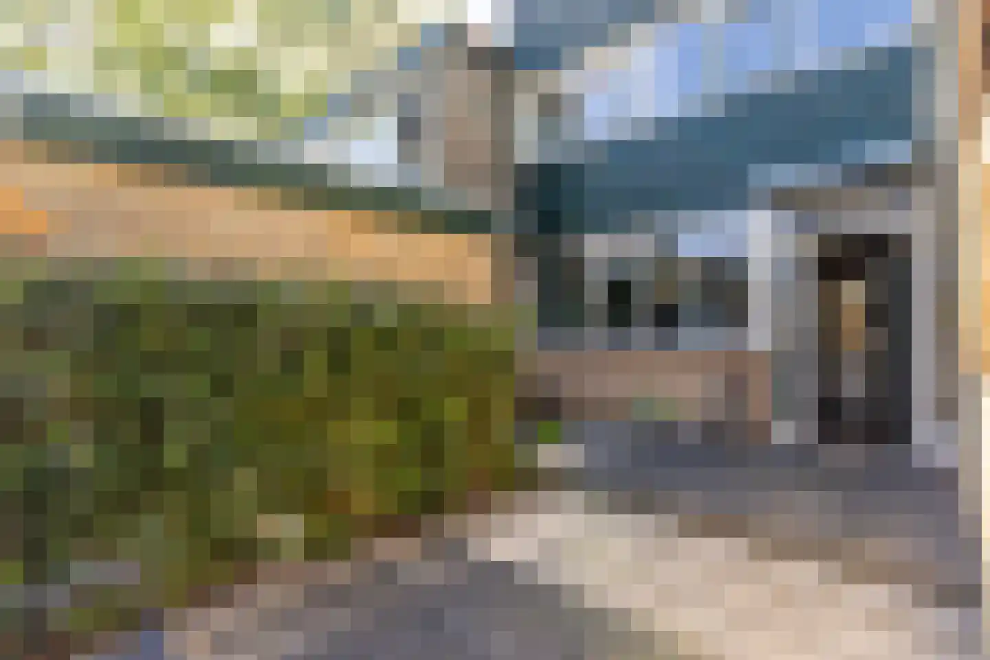 Constantijnstraat 26 's-Gravendeel thumbnail 4