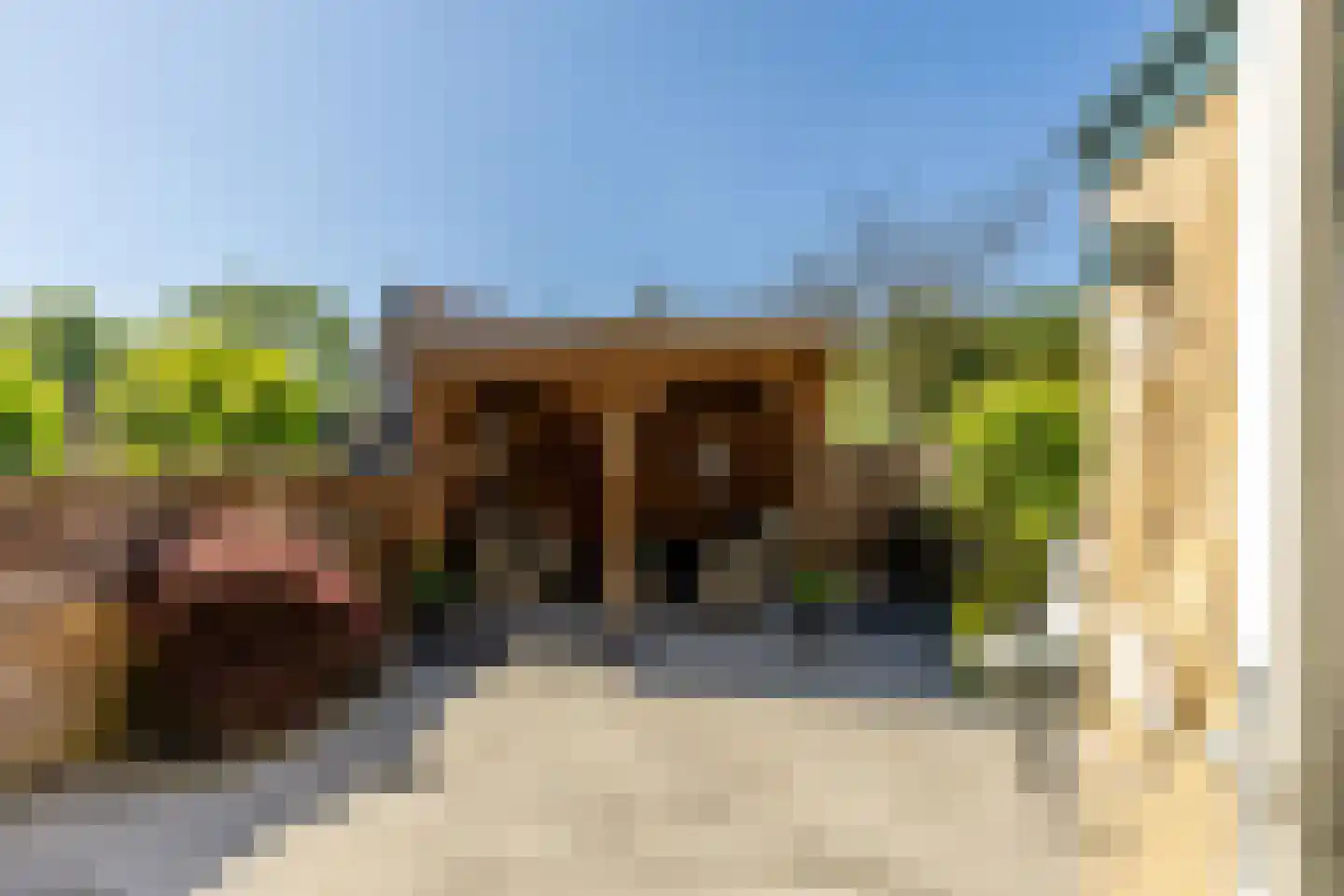 Constantijnstraat 26 's-Gravendeel thumbnail 9