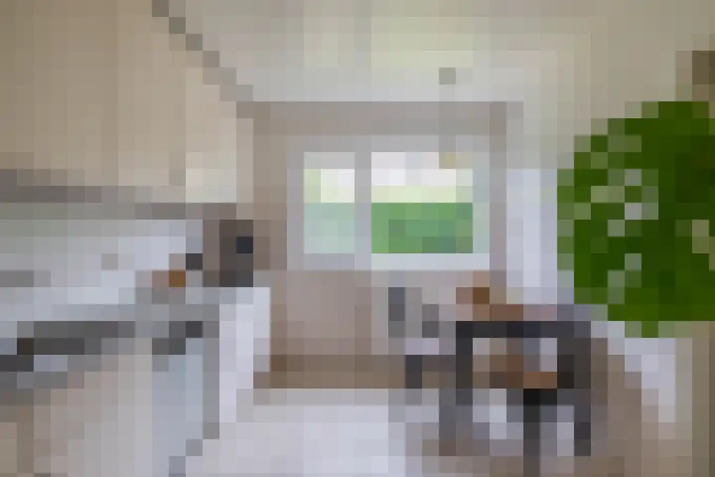 Constantijnstraat 27 Nuenen thumbnail 18