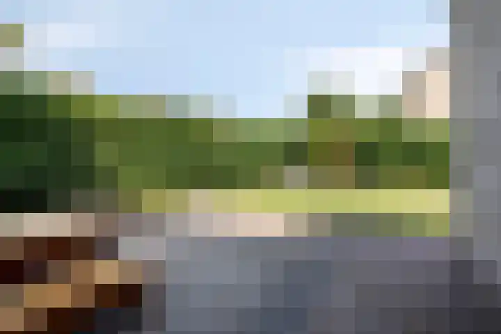 Constantijnstraat 27 Nuenen thumbnail 31
