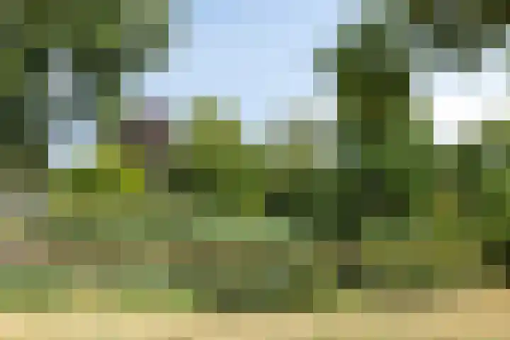 Constantijnstraat 27 Nuenen thumbnail 36