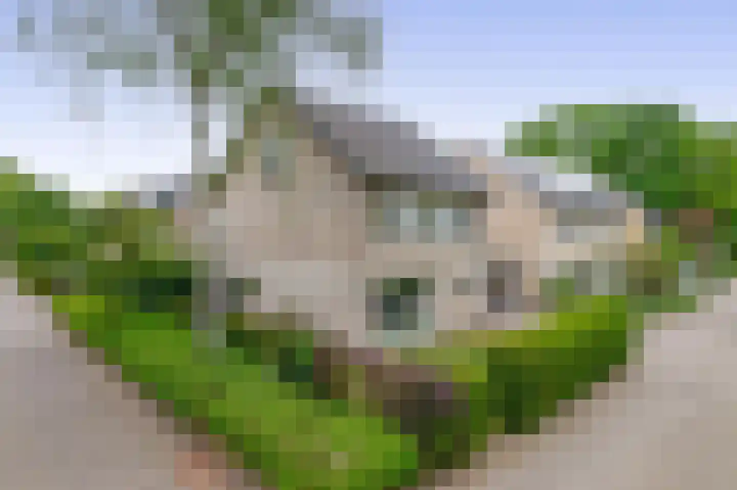 Constantijnstraat 27 Nuenen thumbnail 54