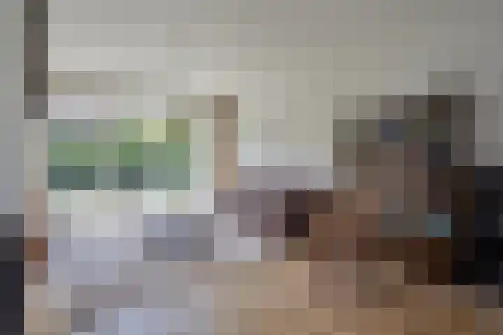 Constantijnstraat 27 Nuenen thumbnail 8