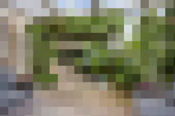 Constantijnstraat 29 Nuenen thumbnail 31