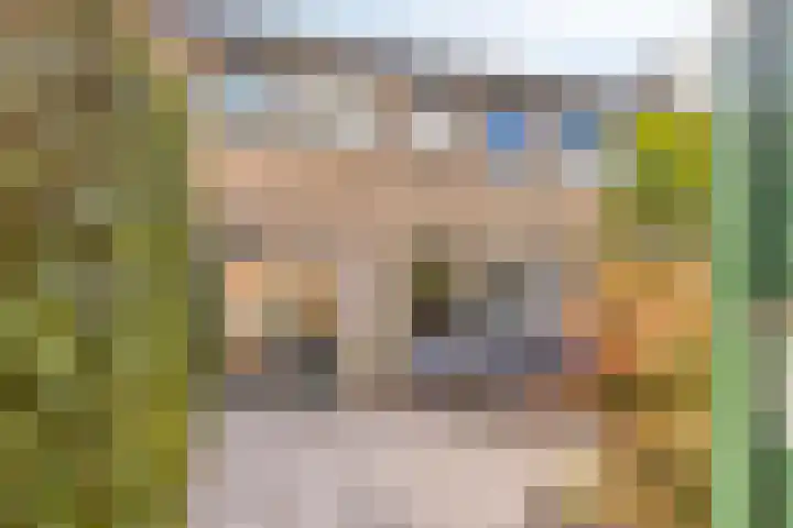 Constantijnstraat 5 Andelst thumbnail 30