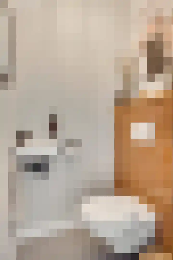 Constantijnstraat 5 Grathem thumbnail 7