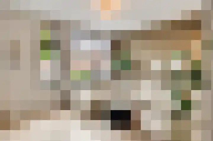 Constantijnstraat 5 Grathem thumbnail 9