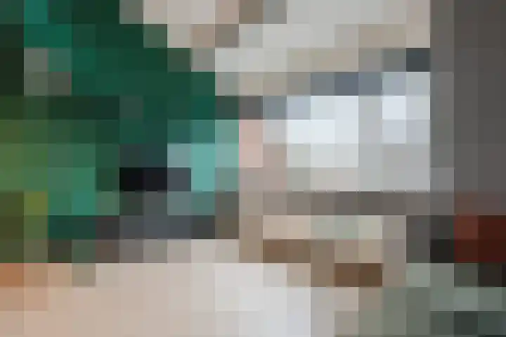 Constantijnstraat 5 Lisse thumbnail 13