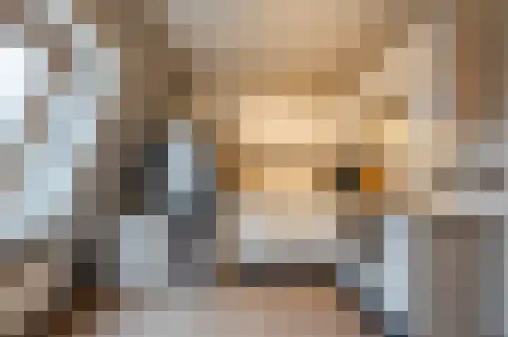 Constantijnstraat 5 Lisse thumbnail 4