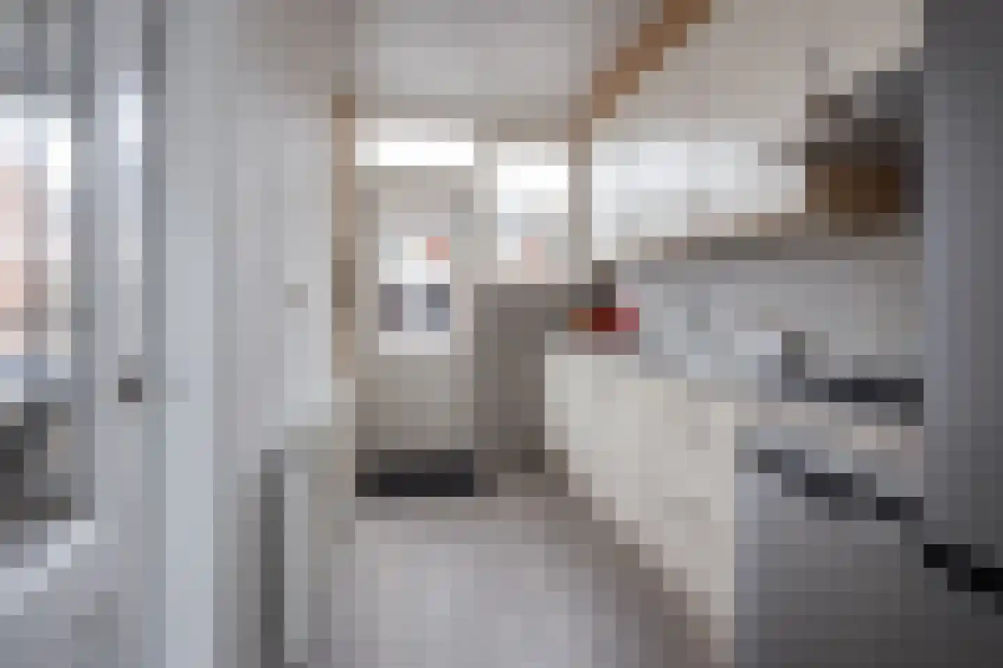 Constantijnstraat 7 Westwoud thumbnail 11