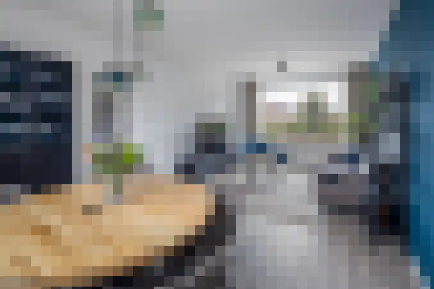 Constantijnstraat 7 Westwoud thumbnail 14