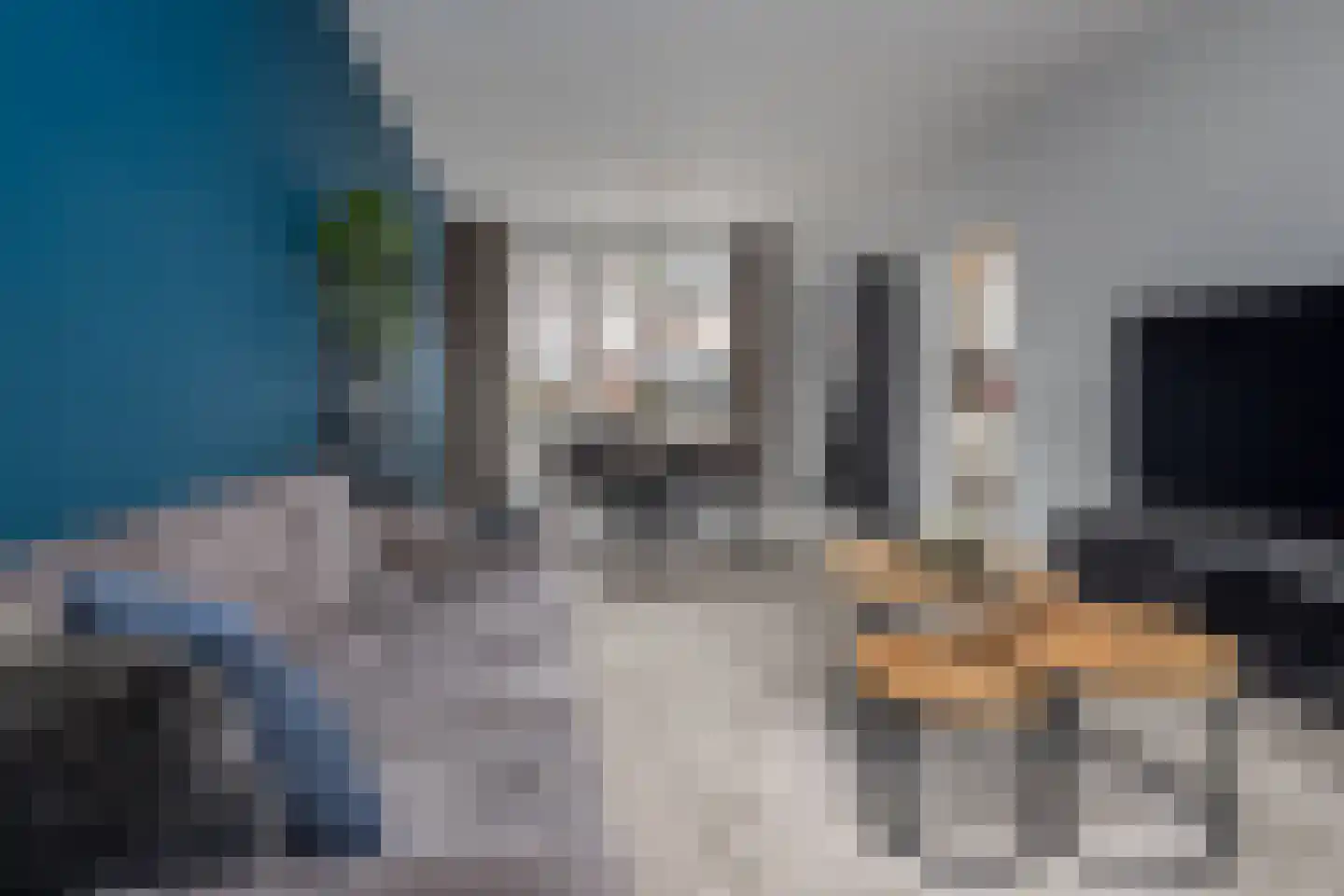 Constantijnstraat 7 Westwoud thumbnail 15