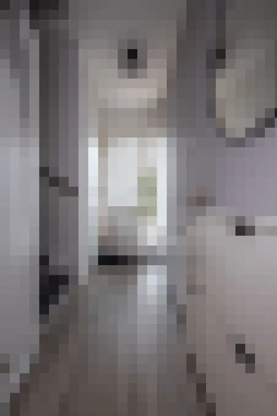 Constantijnstraat 7 Westwoud thumbnail 39