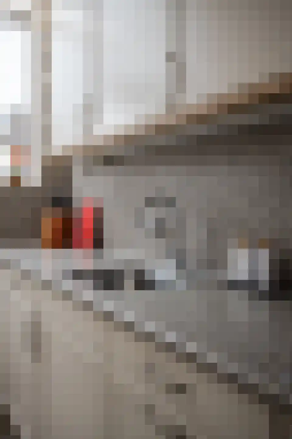 Constantijnstraat 7 Westwoud thumbnail 41