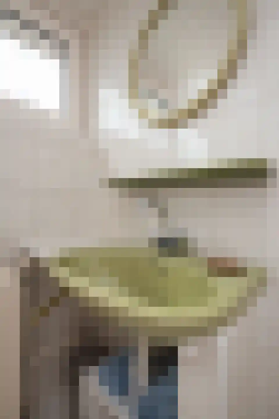 Constantijnstraat 7 Westwoud thumbnail 43