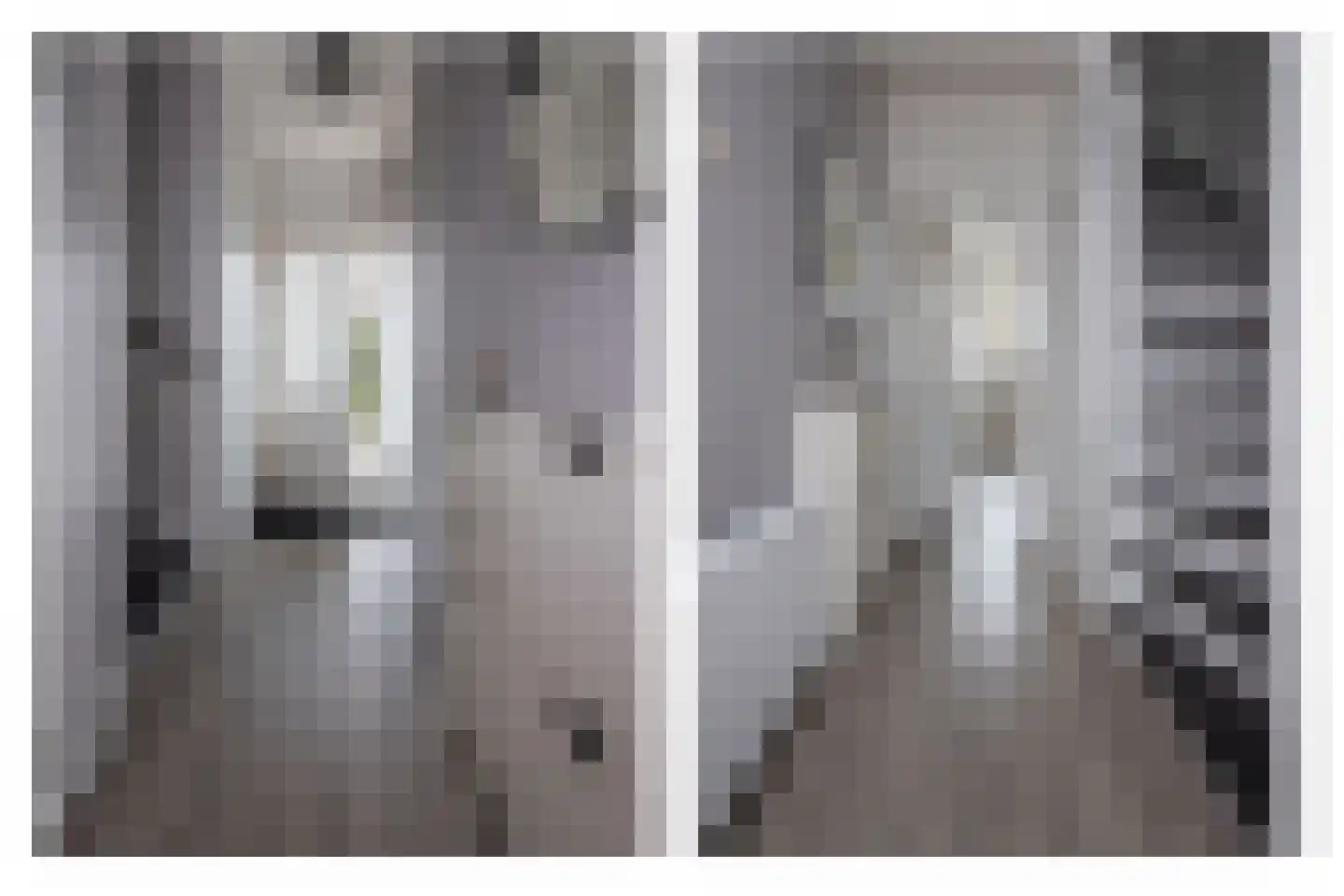 Constantijnstraat 7 Westwoud thumbnail 9
