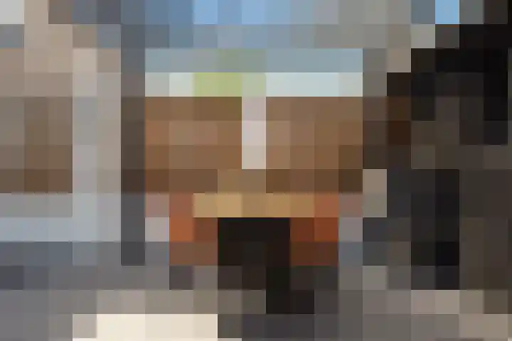 Constantijnstraat 8 Sprang-Capelle thumbnail 19