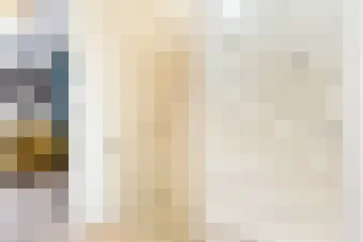 Constantijnstraat 8 Sprang-Capelle thumbnail 21