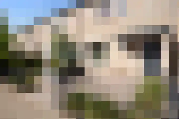 Constantijnstraat 8 Sprang-Capelle thumbnail 4