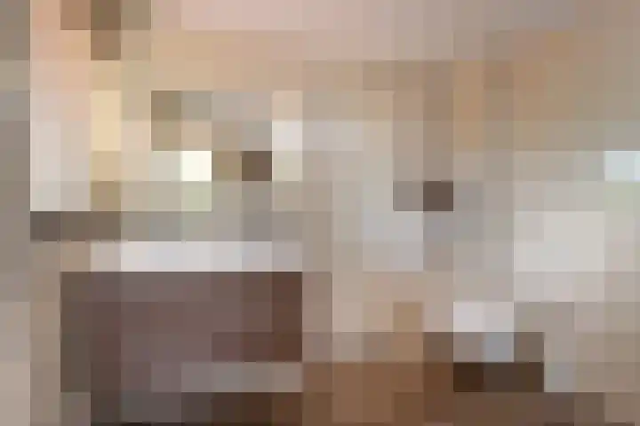 Constantiuslaan 4 Beuningen Gld thumbnail 19