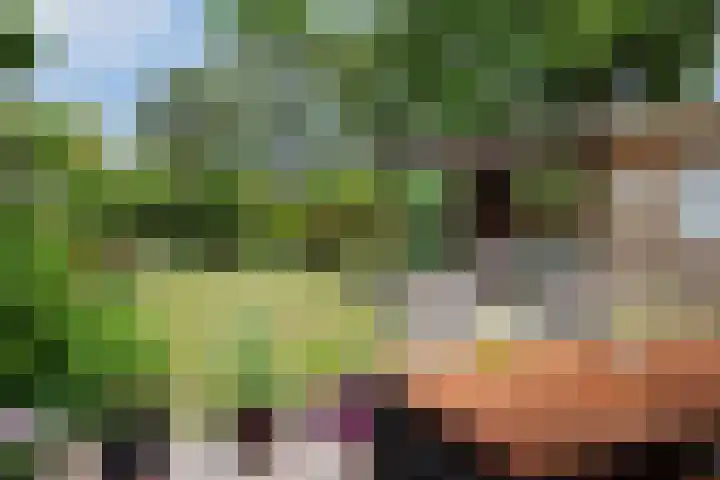 Constantiuslaan 4 Beuningen Gld thumbnail 26