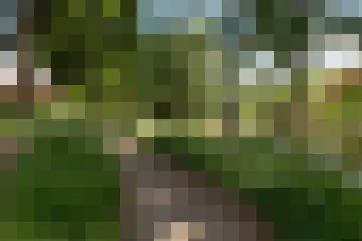 Constantiuslaan 4 Beuningen Gld thumbnail 37