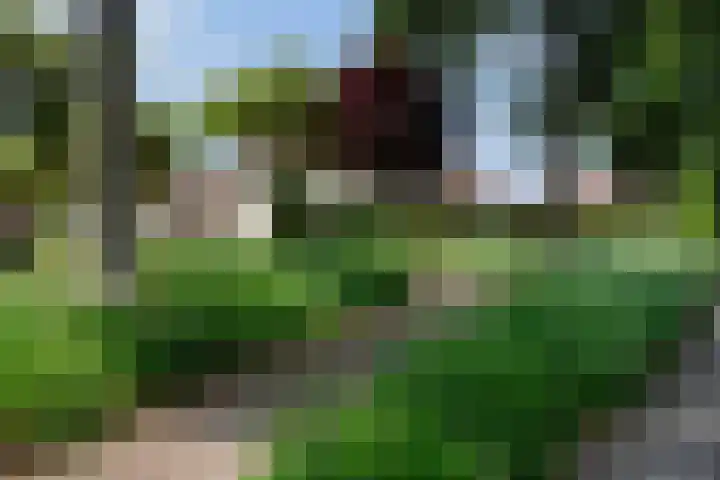 Constantiuslaan 4 Beuningen Gld thumbnail 38