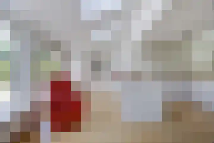 Constantiuslaan 8 Beuningen Gld thumbnail 13