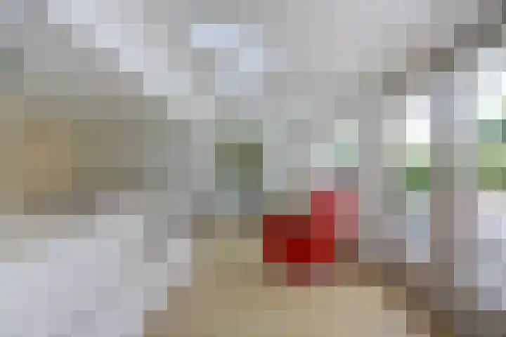 Constantiuslaan 8 Beuningen Gld thumbnail 14