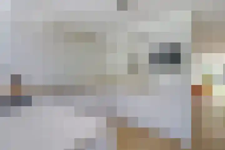 Constantiuslaan 8 Beuningen Gld thumbnail 20