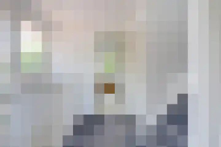 Constantiuslaan 8 Beuningen Gld thumbnail 24