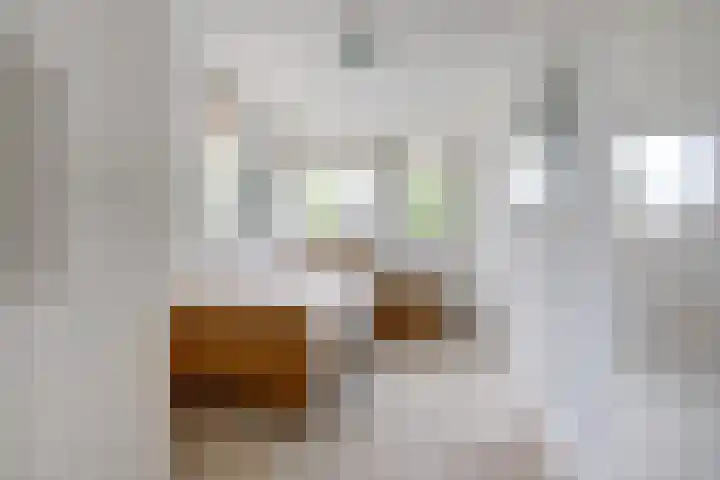 Constantiuslaan 8 Beuningen Gld thumbnail 29