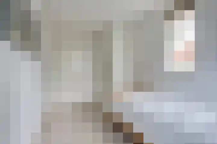 Constantiuslaan 8 Beuningen Gld thumbnail 30