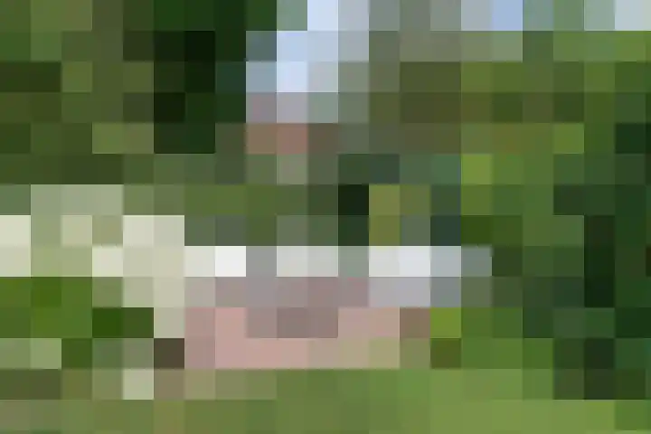 Constantiuslaan 8 Beuningen Gld thumbnail 49