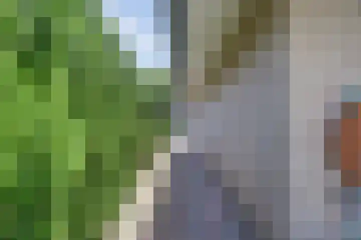 Constantiuslaan 8 Beuningen Gld thumbnail 50