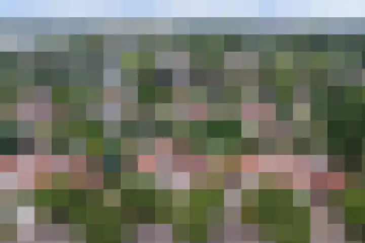 Constantiuslaan 8 Beuningen Gld thumbnail 53