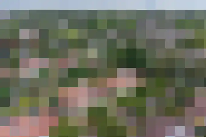 Constantiuslaan 8 Beuningen Gld thumbnail 54