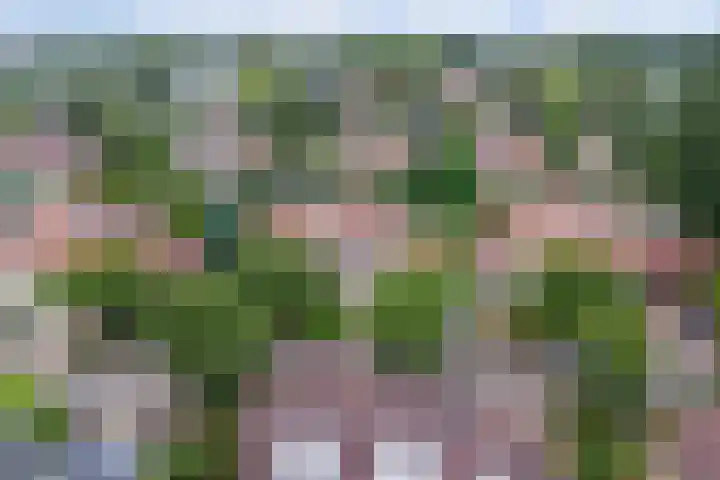 Constantiuslaan 8 Beuningen Gld thumbnail 55