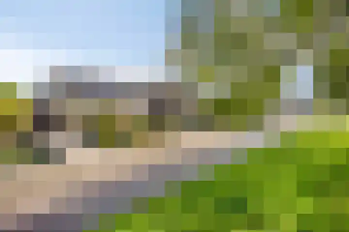 Constructieweg 3 Kampen