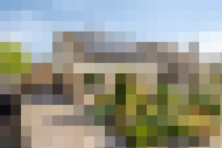 Constructieweg 3 Kampen thumbnail 11