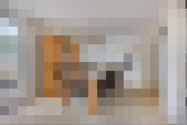 Constructieweg 3 Kampen thumbnail 20
