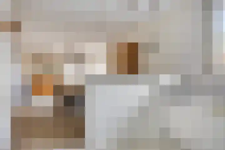 Constructieweg 3 Kampen thumbnail 24