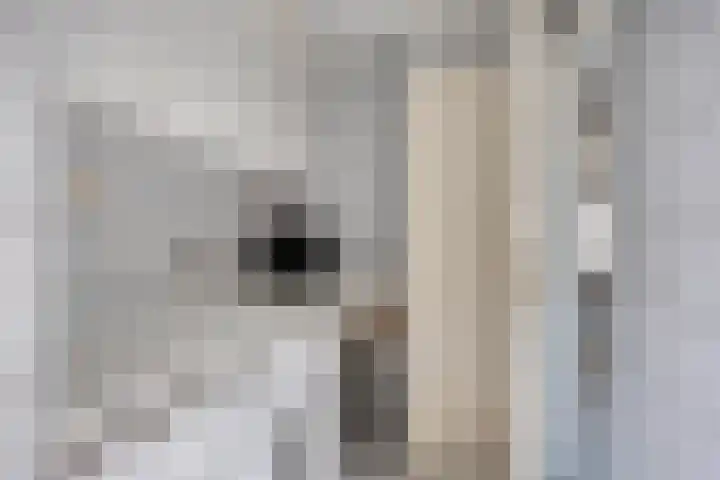 Constructieweg 3 Kampen thumbnail 27